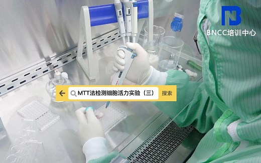 MTT法检测细胞活力实验（三）