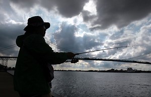 Hitting a snag: Seniors may have to pay for fishing licences (With video)