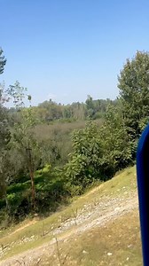 88K views · 7.8K reactions | Amazing View | The Islamic Way | Facebook