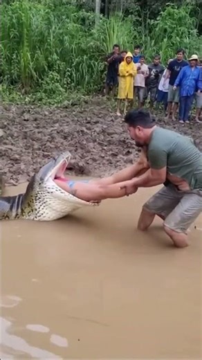 They Saves Woman At Animal Show!