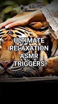 Pet Tiger Grooming ASMR - No Talking, Just Pure Triggers