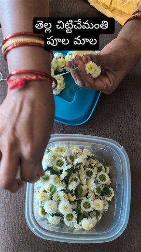 Beautiful Garland Made with White Button Mums