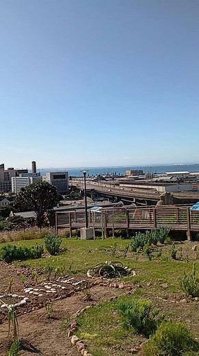 The historical skyline of Port Elizabeth, built over 200 years from 1820, viewed from St Peter's Rainbow Village, in South End. #portelizabeth #Gqeberha #reelssouthafrica #nelsonmandelabay #sharethebay #travelreels | Jose Alves
