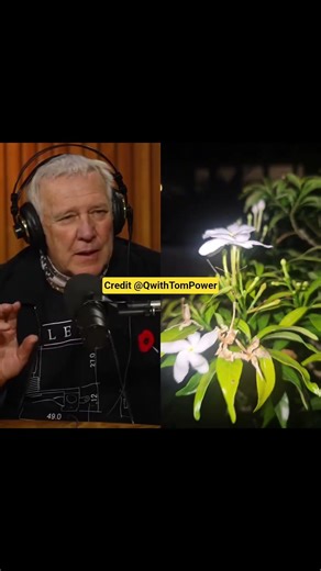 alex lifeson interview