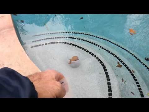 Bucket Test - Correctly Test Swimming Pool Leaks for Water Loss and Analysis