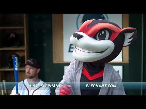 Elephant Auto Insurance The Diamond