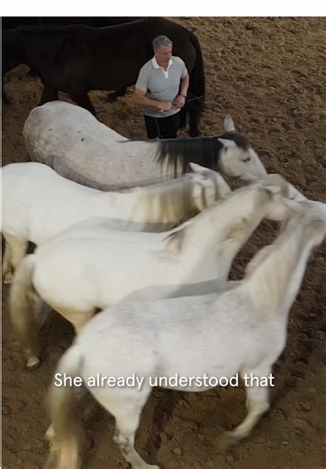 Jean-François Pignon is an accomplished equestrian artist, horse whisperer and rescuer, showcasing the powerful relationship he has with his ponies at our Winter 2026 runway show at Le Grand Manège Jean Caucanas. All elements of this show are aligned with Stella McCartney’s lifelong love and respect for all living creatures. The welfare, dignity and freedom of every horse featured remains paramount, and each one has been treated with the utmost care and respect at all times. #StellaMcCartney #St