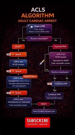 ACLS Algorithm - Adult Cardiac Arrest
