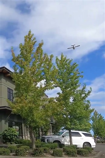 Small✈︎Propeller Plane Flying In The Sky Above a Tree ASMR [Auburn WA USA]