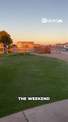 Something smells in Maricopa, according to residents