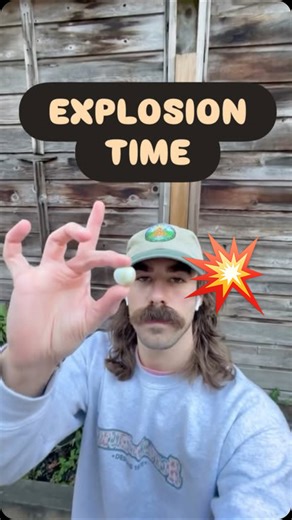 Kenny Wild on Instagram: "PUFFBALL"