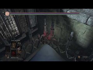 Cheese saves DS3, speed run