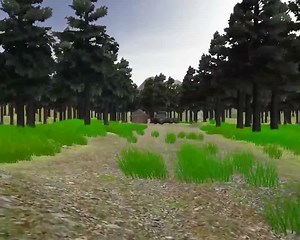 Unity Forest video