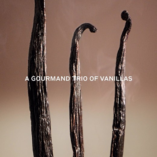 4K views · 6.7K reactions | Introducing Burberry Goddess Eau de Parfum, a unique fragrance with notes of vanilla, lavender, and woody tonalities. | Burberry | Facebook