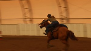 239K views · 145 reactions | Fallon Taylor on Reels | Facebook