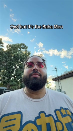 Baha Men owl #daddoesthat #owl | Owl