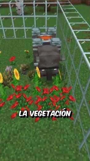 MINECRAFT JAVA VS BEDROCK ⚔ 😝