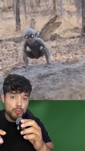 Real Fairy found in the forest #fairy #fear #terror #paranormal #scary