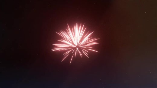 Fireworks are festive but loud 🎆 Pets suffer from stress and panic. Choose low-noise fireworks to protect animals’ well-being 🐾 #pets #fireworks