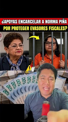 Do you support imprisoning Norma Piña for protecting tax evaders?