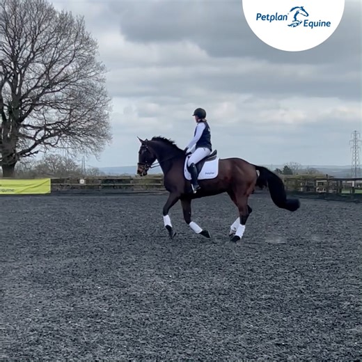 Freestyle to Music - How are the tests judged?