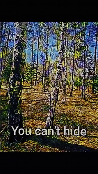 Exploring Weirdcore and Dreamcore Aesthetics