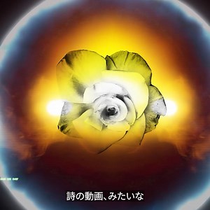 イメージを動画にしたり、テキスト効果を追加したりと、Setta Studioではあらゆる制作にCreative Cloudコンプリートプランを活用しています。 | Adobe Creative Cloud