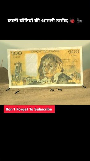 Minuscule: Valley of the Lost Ants Part - 5