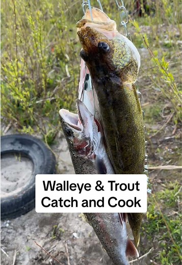 Catch and Cook Fried Walleye and Rainbow Trout Bites