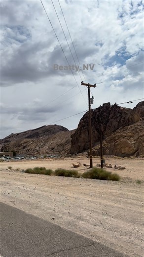 Beatty, Nevada, is a small town in Nye County known as the "Gateway to Death Valley". It is a hub for tourism, with attractions like the Goldwell Open Air Museum and Rhyolite Ghost Town nearby, and also has a history rooted in mining and the Nevada Test Site. Source: google #travelphotography #travelblogger #fb #naturelovers #TravelGoals #travel #travelgram #nature #travelling #travellife | Wander Checklist