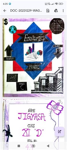 Economic project file class 12th #economics #project