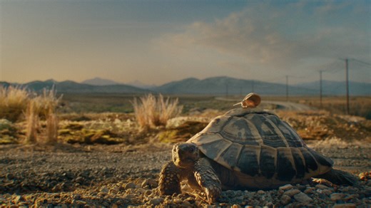 30_BNZ_Slow_wip13_OLV_422HQ_250818