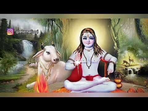 baba balak nath ji top Punjabi non stop bhajans | juke box | full audio |