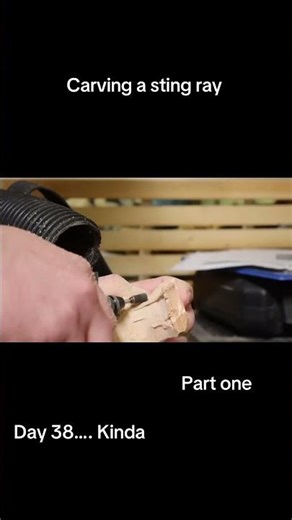 Carving a manta ray ￼