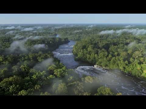 Soothing Strings | Relaxing Music for Stress Relief, Meditation & Peaceful Sleep