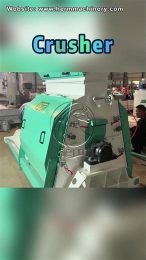 High Speed Grain Crusher Machine | Feed Hammer Mill Working Process #feedpelletmills