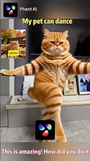 Watch Your Cat Dance! Turn Kitten Photos into Hilarious AI-Generated Dancing Videos