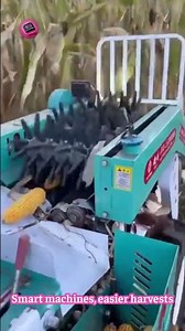 The Automatic Corn Harvester That Saves Farmers Incredible Effort