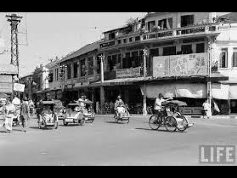 Action Phim Viet Nam ( Bui Doi Cho Lon )