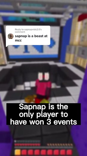 Replying to @sapnapvids2.0 Did you know... #mcchampionship #sapnap #dreamteam