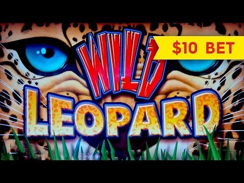 Wild Leopard Slot - RETRIGGER, BIG WIN SESSION - $10 Bet!