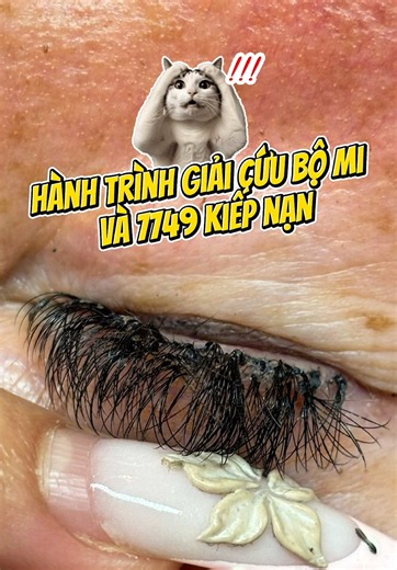 Hành trình lên Tây Thiên thỉnh kinh của cô thợ nổi loạn =)))) #berlinlashes #noimichauau #lashlife #noimi #lashartist