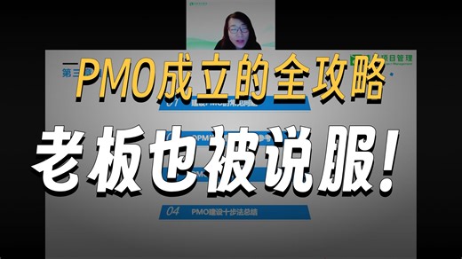 从0-1建设PMO
