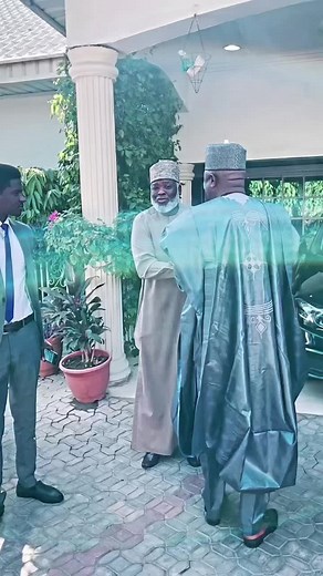 Dodo Bird Videos: Adorable TikTok Moments