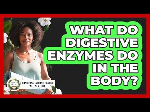 What Do Digestive Enzymes Do In The Body?