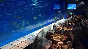 18 reactions | Live Showcase for all Elites’ work this year - Goldwell ColorZoom Remix! #starlight #starlightsalon #starlighthairsalon #iamgoldwell #goldwell #goldwellsg #remixreality #colorzoom19 #globalzoom19 #modernsalon #goldwellapprovedus #wethinkstylist #haircolor #haircut #hairstyle #hairtrend #salonsg #hairsalonsg #hairstylistsg #hairsg #hairsalon #funan #funansg #capitaland #capitalandmall #enthusiasm #sharing #teamwork | Starlight Salon | Facebook