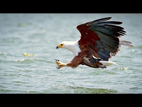 Michipicoten First Nation: Ojibway-Anishinaabe - Wawa Area - Northern Ontario - Canada