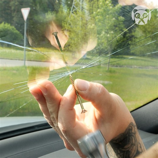 16M views · 24K reactions | Fixing A Windshield Crack! | Bored Panda Art | Facebook