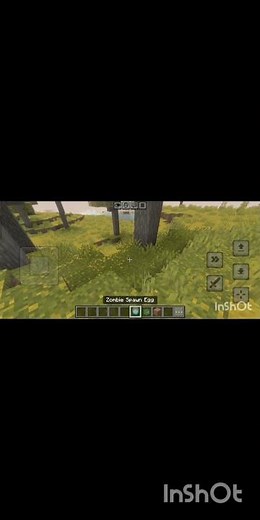 How to spawn a zombie in Minecraft 💩💩