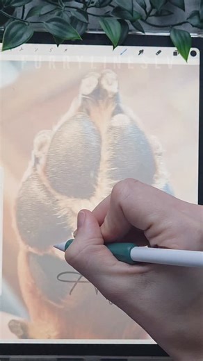 CUSTOM LINE ART PORTRAITS on Instagram: "Full price list is in my story highlights. Send me a message, if you are interested in ordering. #onelineart #dogpaw #lineart #minimialistart #outlinedrawing #pawdrawing #pawtattoo #pettattooidea"